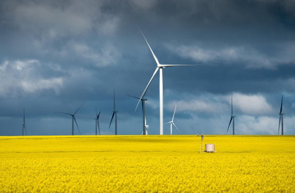 Wind farm turbines